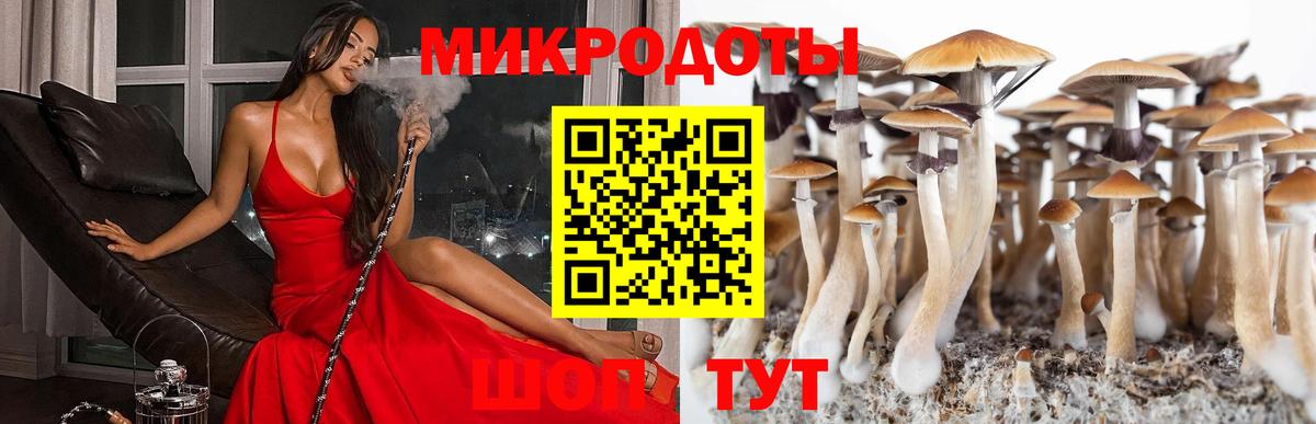Псилоцибиновые грибы Cubensis  Вход с VPN  Коммунар  Псилоцибиновые грибы мухоморы 